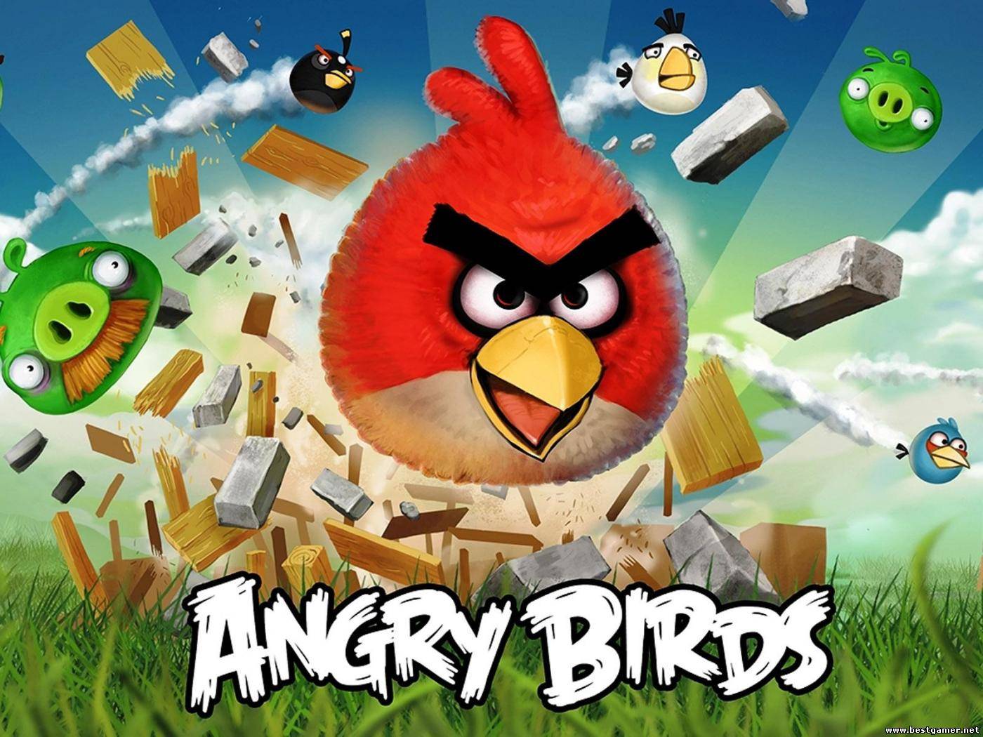 Angry Birds (1.6.3) [2011/PC/ENG]