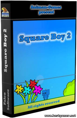 Square Boy 2 (2012) PC