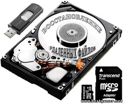 Raise Data Recovery for FAT/NTFS 5.4 (2012) РС &#124; + Portable