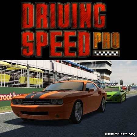 Driving Speed Pro (2010) [ENG] [P]