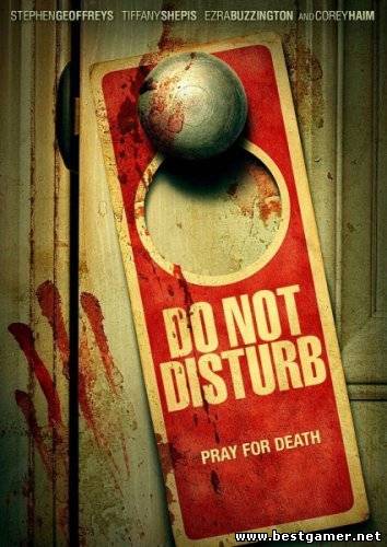 Не беспокоить / Do Not Disturb (2013) WEBRip