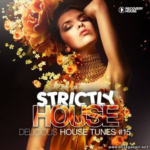 VA - Strictly House: Delicious House Tunes Vol.15 2013 / MP3