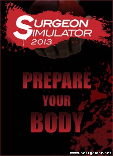 Surgeon Simulator 2013: Steam Edition [+2DLC] (2013) PC