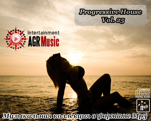 VA - Progressive House V.25 (2014) MP3