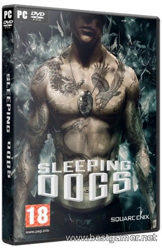 Sleeping Dogs - Limited Edition (2012) PC &#124; Lossless RePack