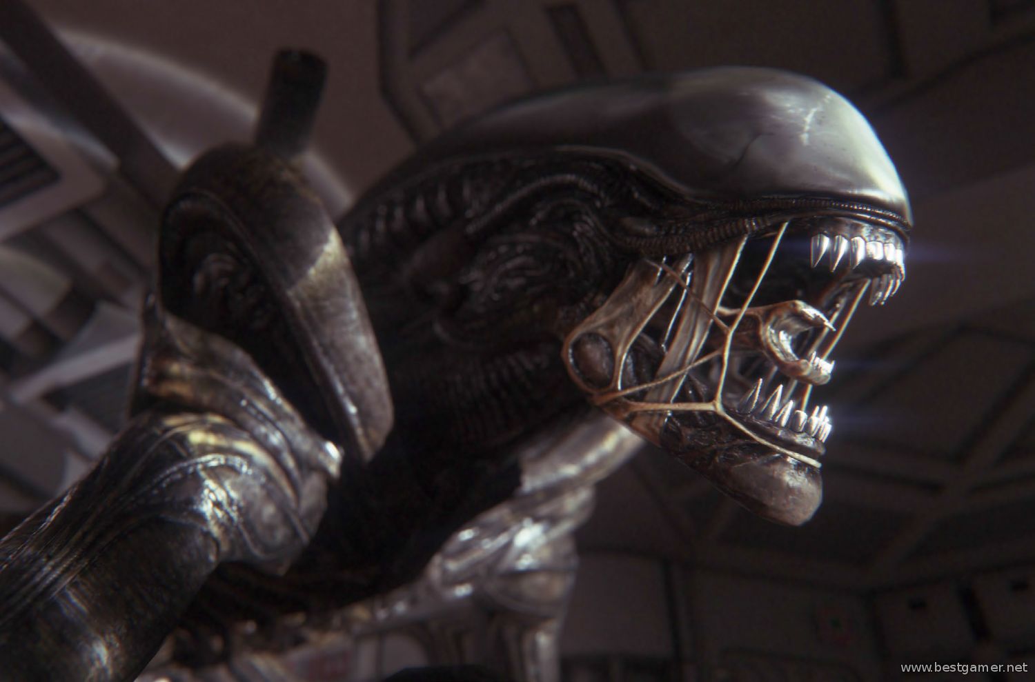 PlayStation E3 2014 &#124; Alien: Isolation &#124; Live Coverage (PS4)