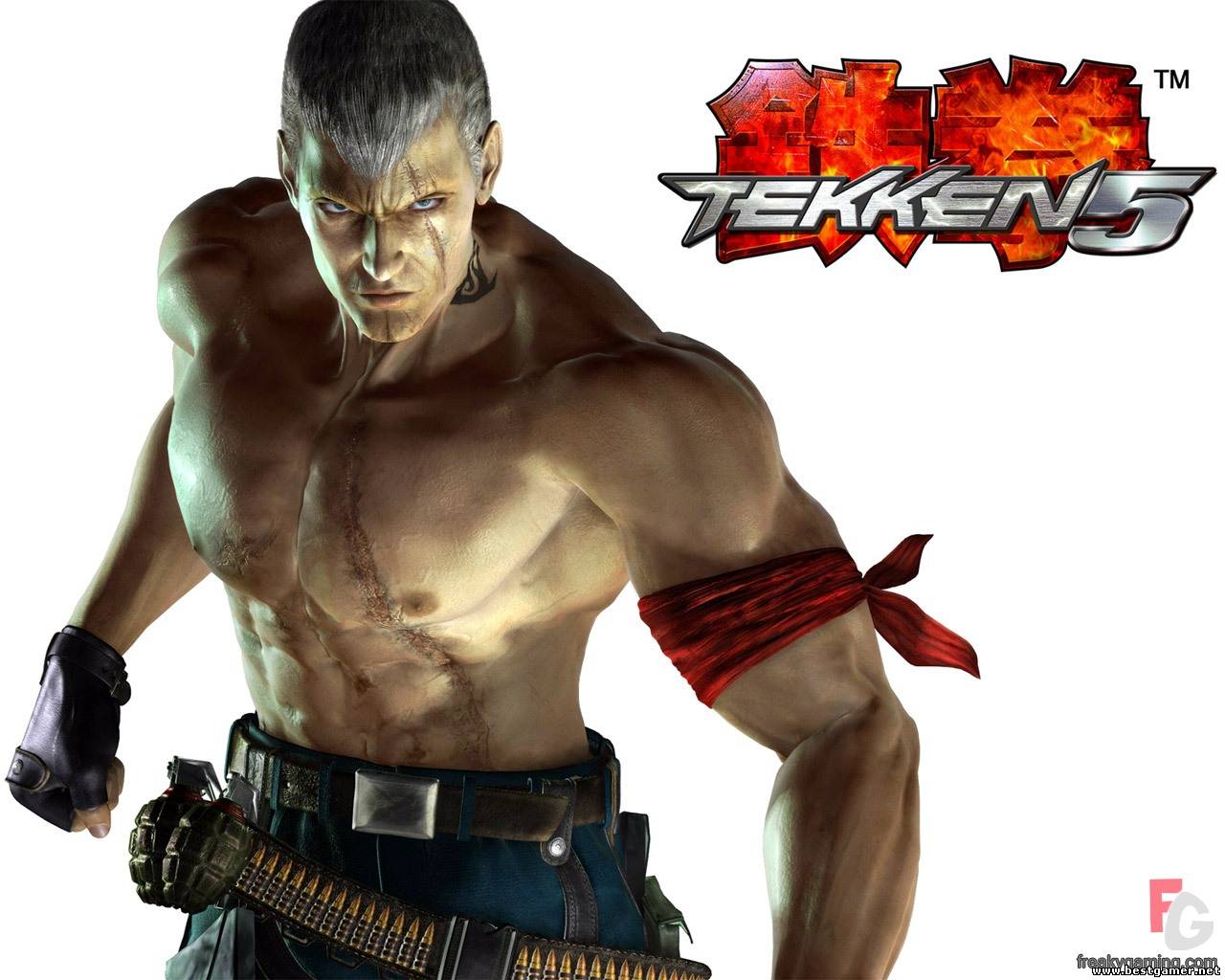 Tekken 5 (2005) PC &#124; Repack
