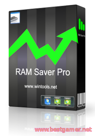 RAM Saver Professional 15.0 (2015) PC