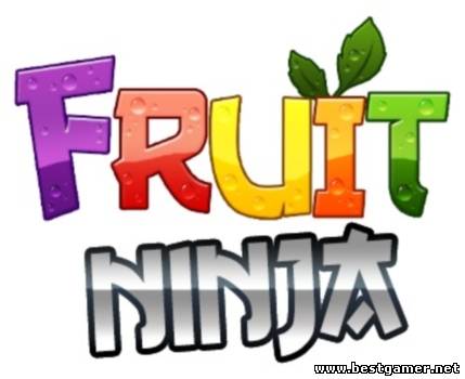 Fruit Ninja (2011/PC/Eng)