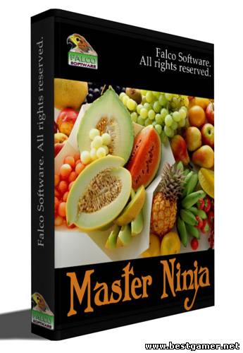 Master Ninja (2011) PC