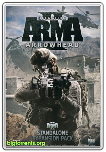 ArmA 2: Advanced Combat Environment (2011/PC/RUS)