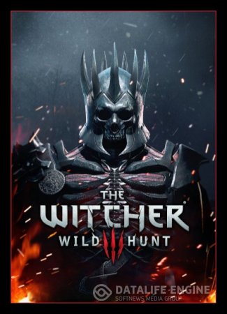 The Witcher 3: Wild Hunt (2015, RUS, MULTI, DL) от R.G. Игроманы