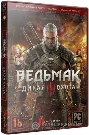 The Witcher 3: Wild Hunt [v 1.10 + 16 DLC] (2015) RePack от R.G.BestGamer