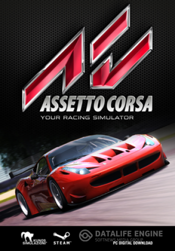 Assetto Corsa [2014, RUS(MULTI)/ENG, Repack] от R.G. Origami