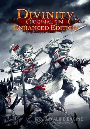 Divinity: Original Sin - Enhanced Edition [v 2.0.103.346] (2015) PC | RePack by Mizantrop1337