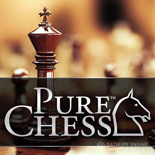 Pure Chess: Grandmaster Edition (2016) PC | Repack