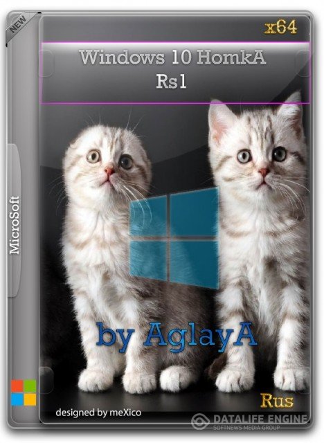 Windows 10 HomkA Rs1 x64 / by AglayA / ~rus~