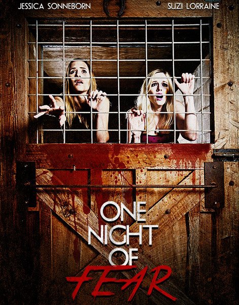 Одна ночь страха / One Night of Fear (2016) WEBRip | L1