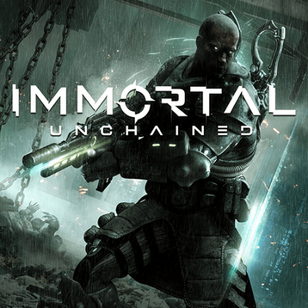 Immortal: Unchained [v 1.0 + DLCs] (2018) PC | RePack от SpaceX