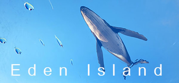 Eden Island [v 1.0 | Early Access] (2022) PC | RePack от Pioneer